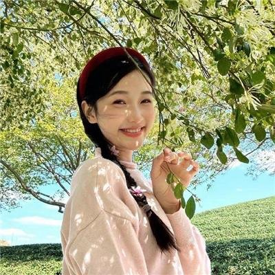 安邦定国志